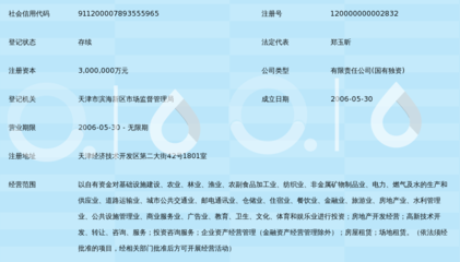 天津濱海新區建設投資集團有限公司