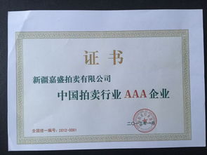 新疆嘉盛拍賣(mài)有限責(zé)任公司喀什拍賣(mài)分公司15