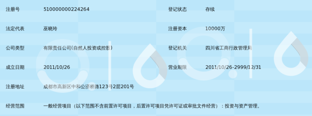 四川華宜投資集團(tuán)