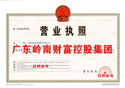 推薦 省冠名 廣東嶺南財富控股集團(tuán)公司 從事各類項(xiàng)目投資 布局粵港澳大灣區(qū)