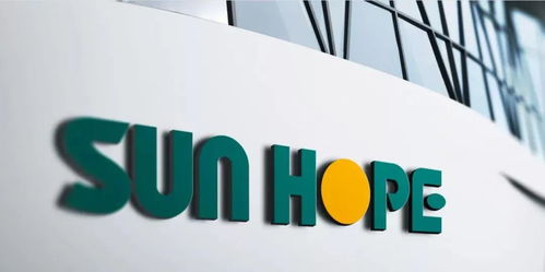 12.2億美元 強磁場 大閔行又簽下6個外資大項目